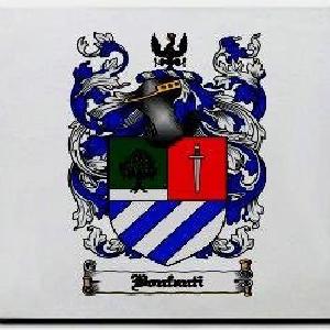 Bonfanti Family Shield / Coat Of Arms Mouse Pad Cheap Sale Perfect