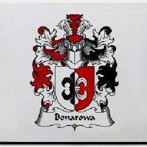 Bonarowa Family Shield / Coat Of Arms Mouse Pad Clearance Online Fake