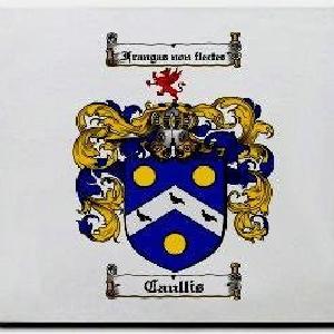 Caullis Family Shield / Coat Of Arms Mouse Pad 100% Original Cheap Pice