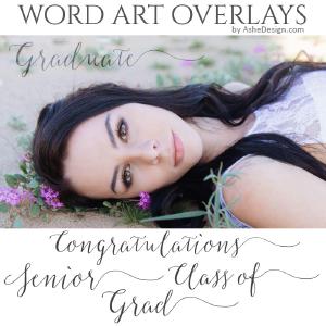 Word Art Overlays - The Graduate Pay With Visa