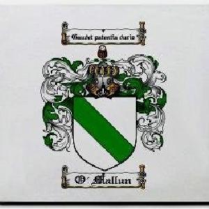O'mallun Family Shield / Coat Of Arms Mouse Pad Sale Lowest Pice