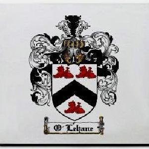 O'lehane Family Shield / Coat Of Arms Mouse Pad Visit New Cheap Pice