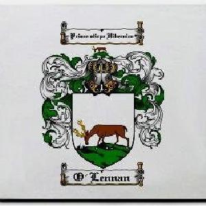 O'lennan Family Shield / Coat Of Arms Mouse Pad Cheap Pice Store