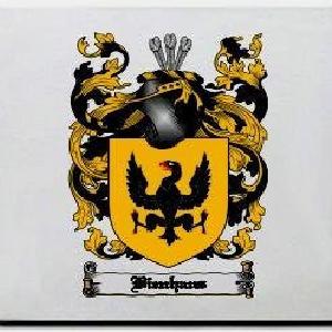 Bienhaus Family Shield / Coat Of Arms Mouse Pad Get To Buy Cheap Pice