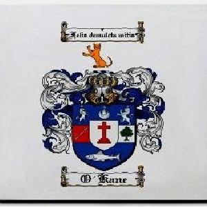 O'kane Family Shield / Coat Of Arms Mouse Pad Clearance Pirce Sale