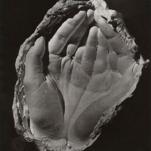 'Surreal study' Greetings Card Discount Eastbay