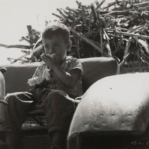 'Sweet morning' Greetings Card Recommend Cheap Online