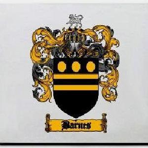 Barnes Family Shield / Coat Of Arms Mouse Pad Cheap Pice Cost