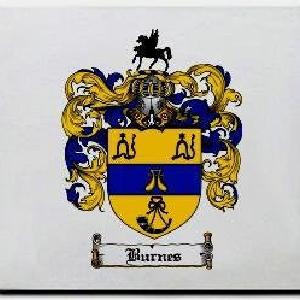 Burnes Family Shield / Coat Of Arms Mouse Pad Free Shipping Limited Edition