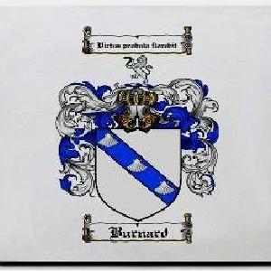 Burnard Family Shield / Coat Of Arms Mouse Pad Real Cheap Online