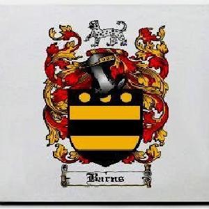 Barns Family Shield / Coat Of Arms Mouse Pad Clearance Very Cheap
