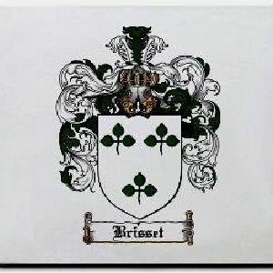 Brisset Family Shield / Coat Of Arms Mouse Pad Free Shipping For Sale