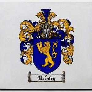 Brinley Family Shield / Coat Of Arms Mouse Pad Cheap Pice Discount Authentic