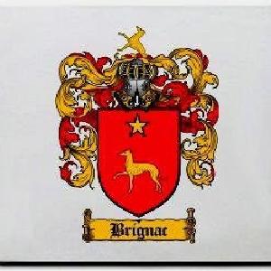 Brignac Family Shield / Coat Of Arms Mouse Pad New Styles Cheap Pice