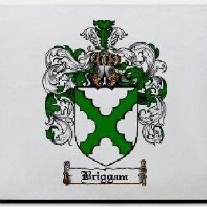Briggam Family Shield / Coat Of Arms Mouse Pad Discount Cheap