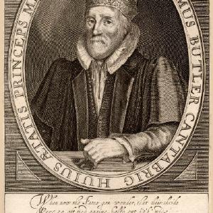 William Butler Greetings Card Discount Looking For