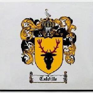 Caldille Family Shield / Coat Of Arms Mouse Pad Discount Big Discount