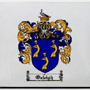 Oxleigh Family Shield / Coat Of Arms Mouse Pad Buy Cheap 100% Original