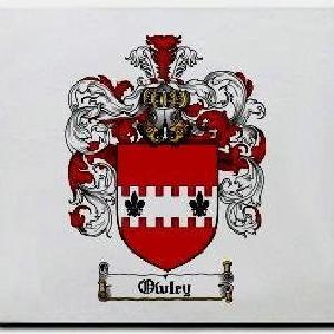 Owley Family Shield / Coat Of Arms Mouse Pad Limited Edition Cheap Pice