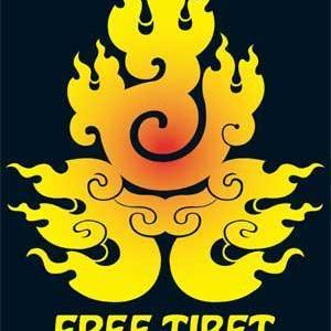 Flame Design Sticker Discount Choice