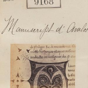 'Detail from Manuscript d'Avalos' Greetings Card Cheap Browse