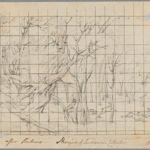 'Forest at Dawn with a Deer Hunt' Greetings Card Amazon Footaction