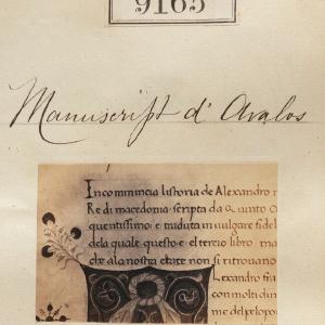 'Detail from Manuscript d'Avalos' Greetings Card Newest