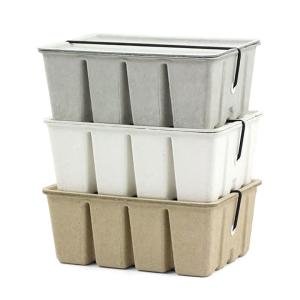Pulp Storage Box by Midori Cheap Sale Looking For