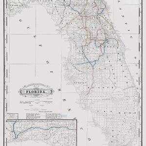 Railroad Map - Florida State Railway Counties - Grant 1889 - 23 x 30.98 - Vintage Wall Art Cheap Sale Purchase