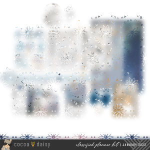 Nordic Skies Classified: Planner Edition January 2023 Sale 2025