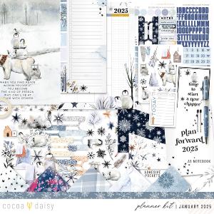 Nordic Nights Planner Kit - Choose your insert or notebook - January 2025 Marketable Online