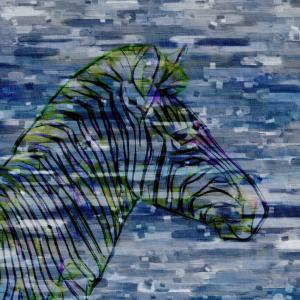 Zebra Profile Free Shipping Supply