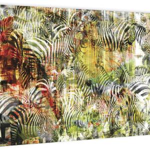 Zebras Zebras Clearance Clearance Store