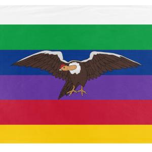 Latinoamerica flag (Antonio Traub) Buy Cheap Shop