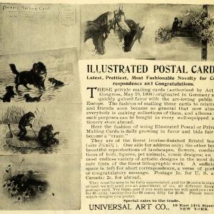 1903 Ad Universal Art Illustrated Postal Cards Mailing Novelty Dog Horse TSM1 Where To Buy