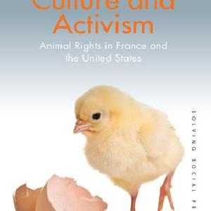 Culture and Activism - Paperback / softback Clearance Geniue Stockist