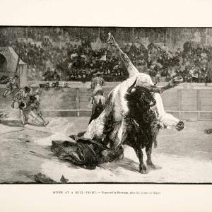 1894 Wood Engraving Scene Bullfight Madrid Spain Bull Gored Horse Matador XGGC5 Discount Latest