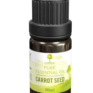 10ml Carrot Seed Essential Oil Buy Cheap For Cheap