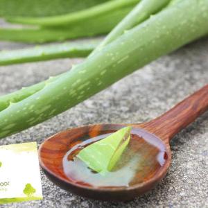 Aloe Vera Clear Gel - Various Sizes Pay With Visa