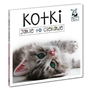 Jakie to ciekawe. Kotki Cheap Sale Visit New