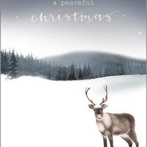 2-osainen joulukortti Henna Adel - Poro Outlet Lowest Pice