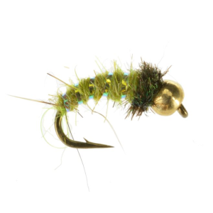 Bead Head Caddis Pupa Clearance Ebay
