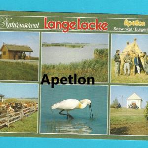 AK Apetlon. Naturreservat Lange Lacke. Seewinkel. Clearance Amazon