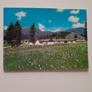 AK Bad Mitterndorf - Bad Heilbrunn. Sonnenalm Contracta Feriendorf. Outlet Largest Supplier