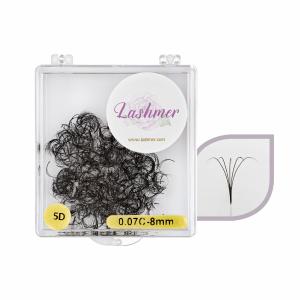 5D Loose Promade Fans | Lashmer | C, D Curl - 1000 Fans Buy Cheap Visit New