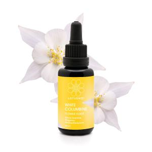 White Columbine Elixir Outlet Amazon