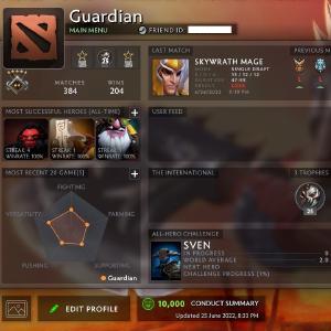 Guardian V | MMR: 1460 - Behavior: 10000 Cheap Online Online