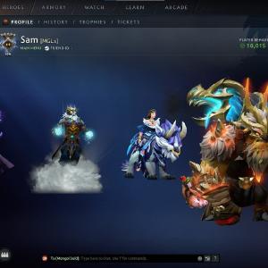 Guardian V | MMR: 1452 - Behavior: 10015 - Communication: 10015 New Styles For Sale