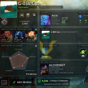 Guardian V | MMR: 1430 - Behavior: 9030 Sale Amazing Pice