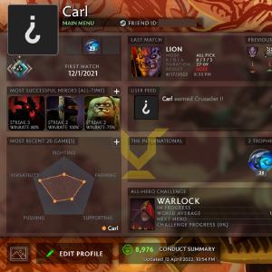 Guardian V | MMR: 1460 - Behavior: 9390 100% Guaranteed